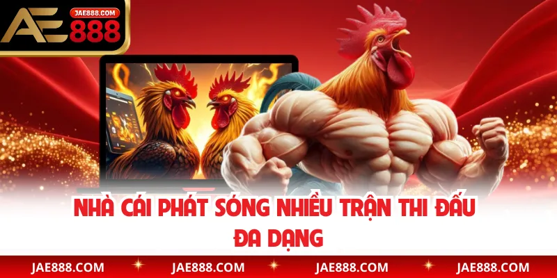 Nhà cái phát sóng nhiều trận thi đấu đa dạng